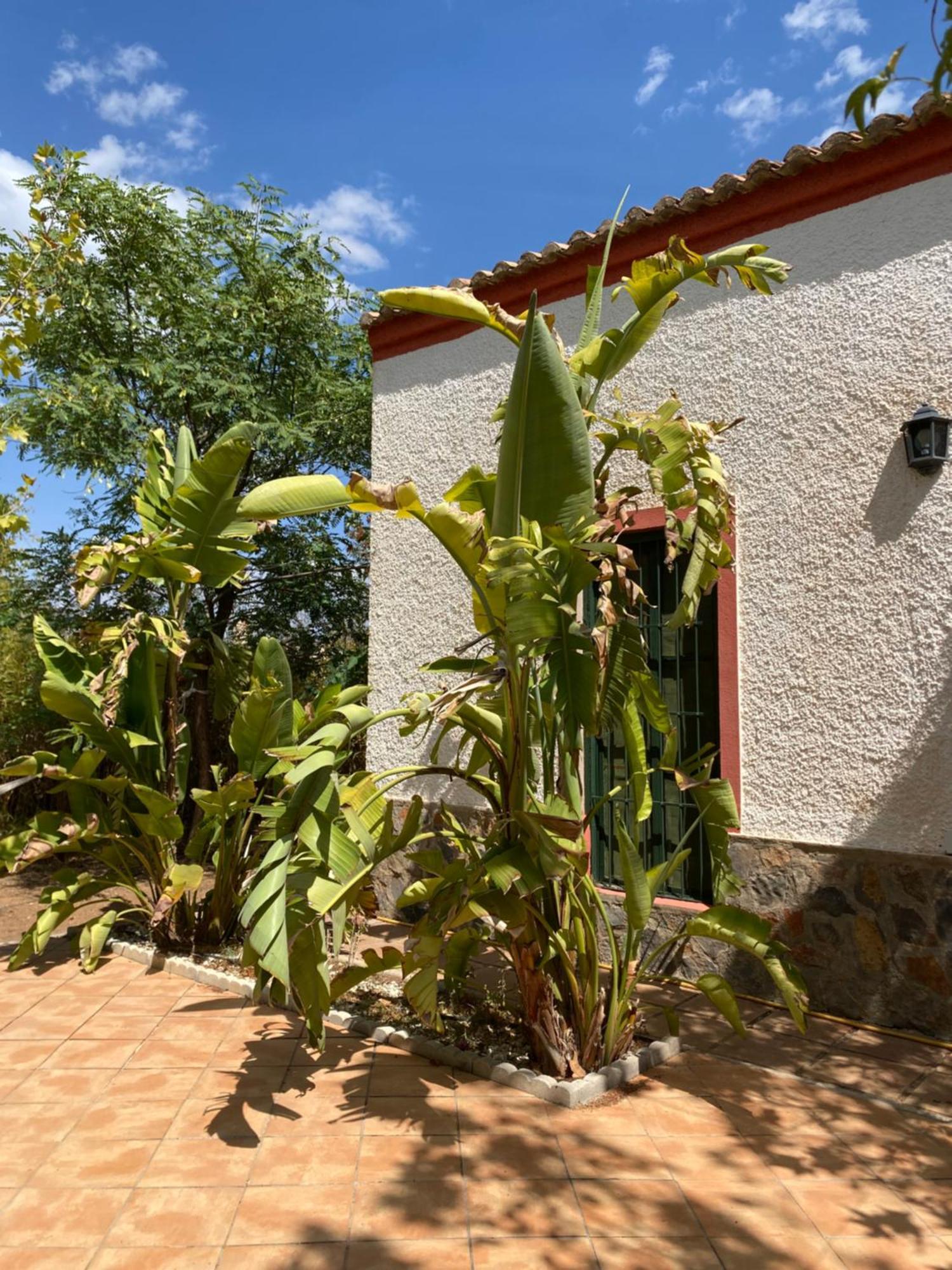 Villa Real Fundicion De Alcora Canjáyar Exterior foto