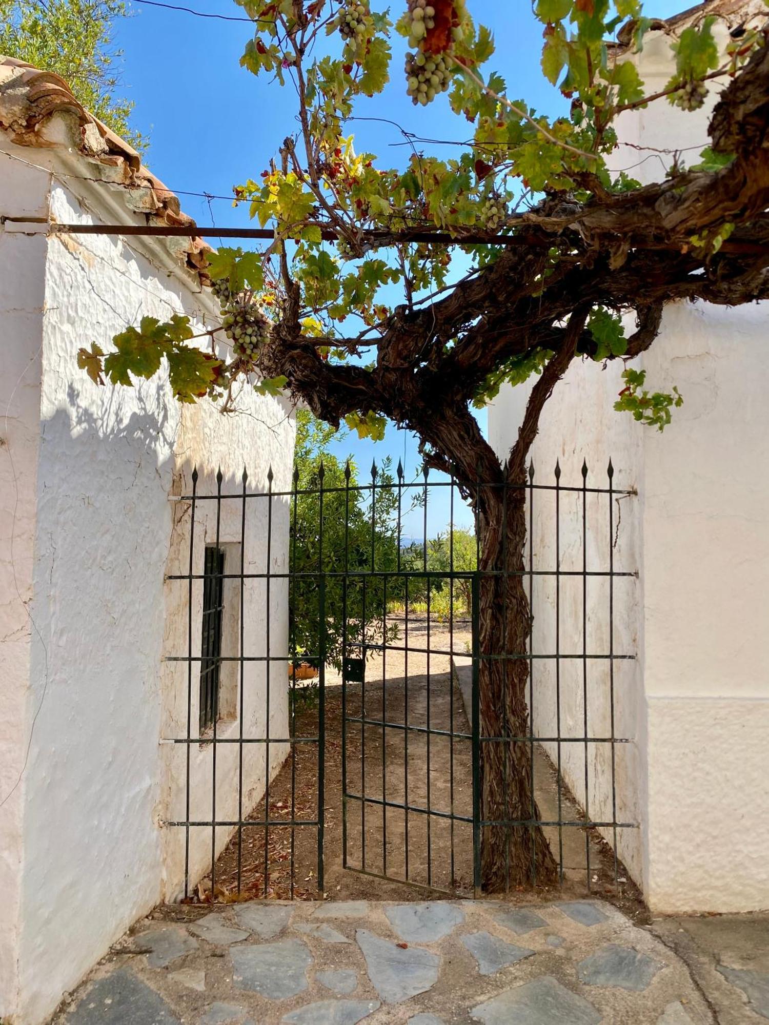 Villa Real Fundicion De Alcora Canjáyar Exterior foto